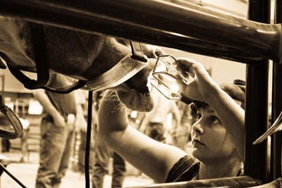 Charlotte White, Equine Dentist