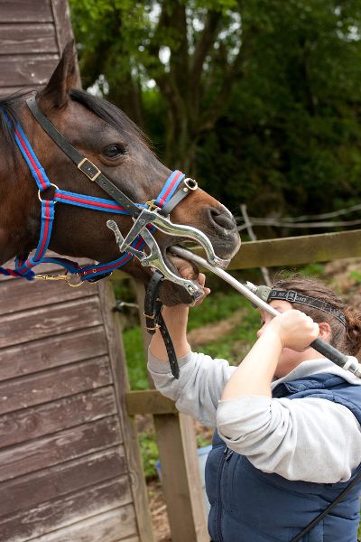 Charlotte White Equine Dentist