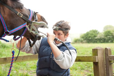 Equine Dentist Charlotte White