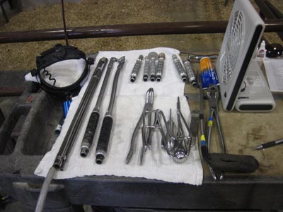 Equine dentist tools